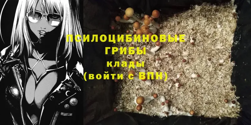 Псилоцибиновые грибы MAGIC MUSHROOMS  Воткинск 